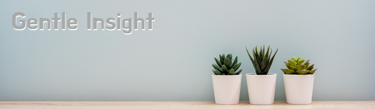 Gentle Insight